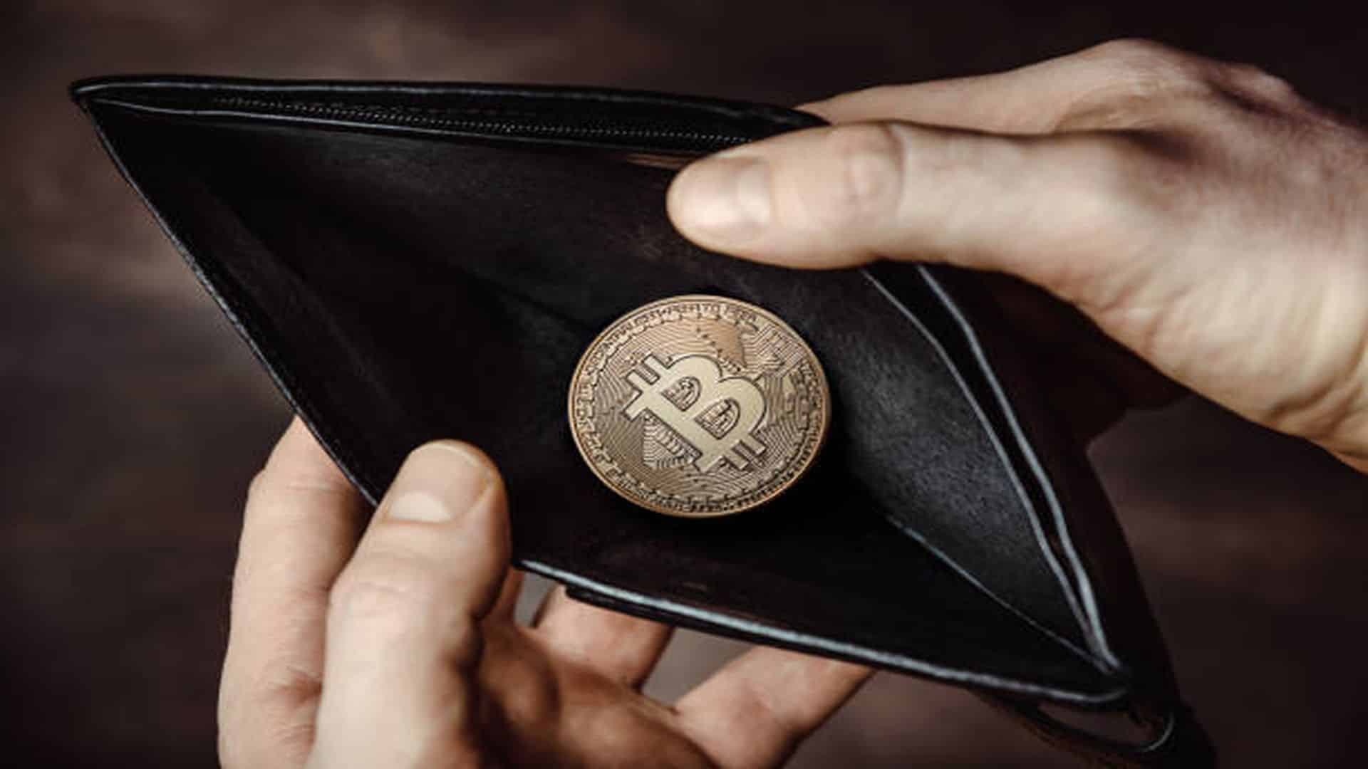 BTC wallet - Tokenhell Bitcoin Wallet Awakens After 14 Years, Sends 50 BTC To Binance