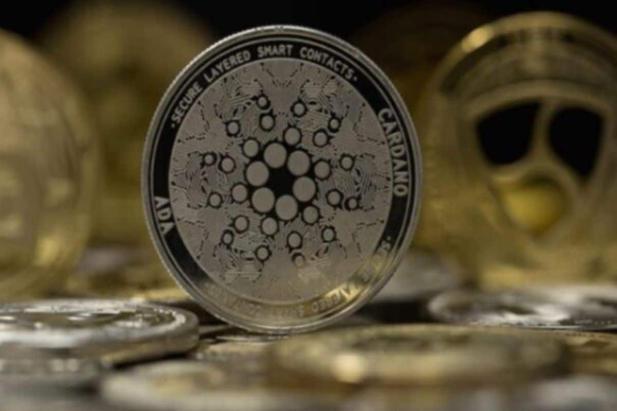 Cardano Retains Position As Top Holding For BNB Whales(1) - Tokenhell