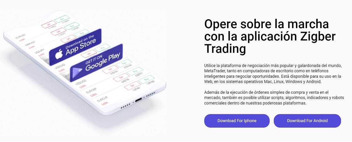 Plataforma para comerciantes Zigber