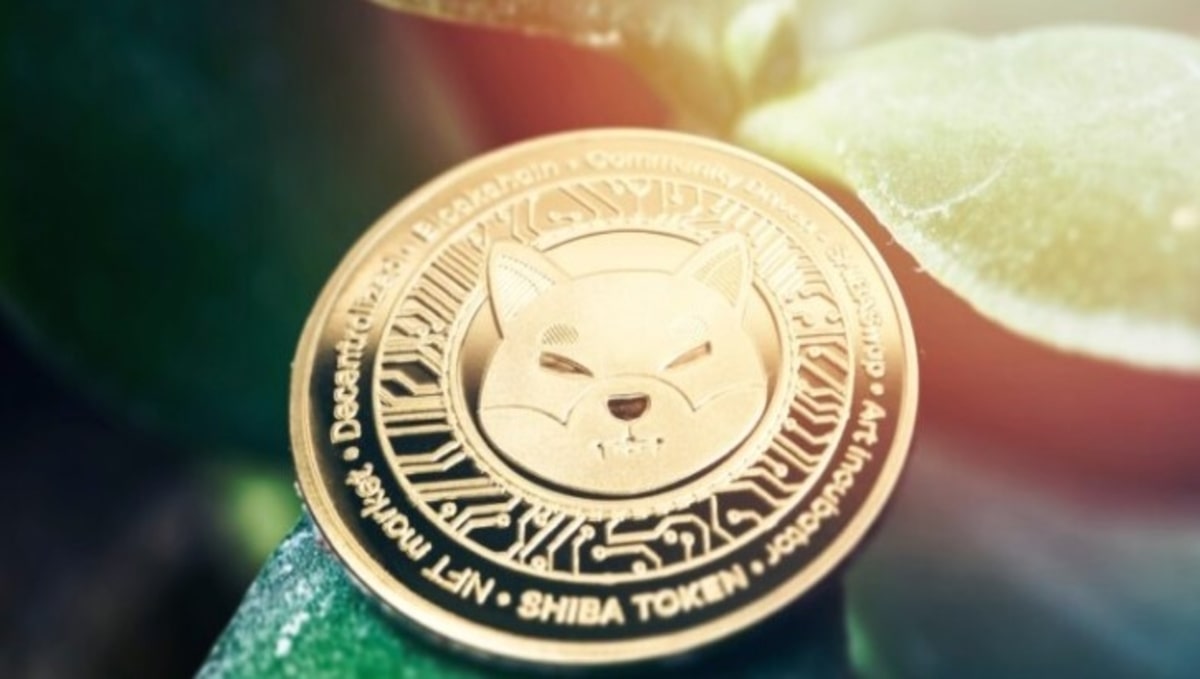 FEATURE IMAGE SHIB 31012022-min - Tokenhell