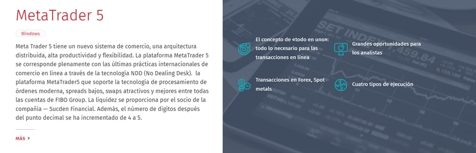 FIBO-Group-pagina-web - Tokenhell FIBO Group pagina web