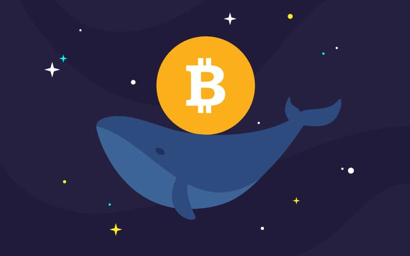 bitcoin whale - Tokenhell