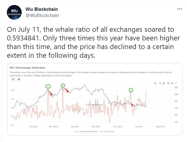 collins-wu-whale-ratio-tweet - Tokenhell