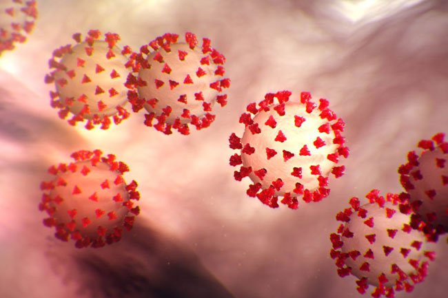 coronavirus-s1-what-is-coronavirus - Tokenhell
