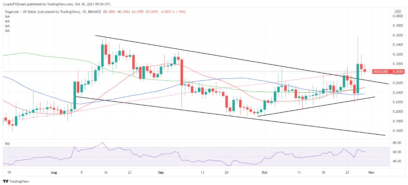 doge-usd-24-hour-chart-1 - Tokenhell