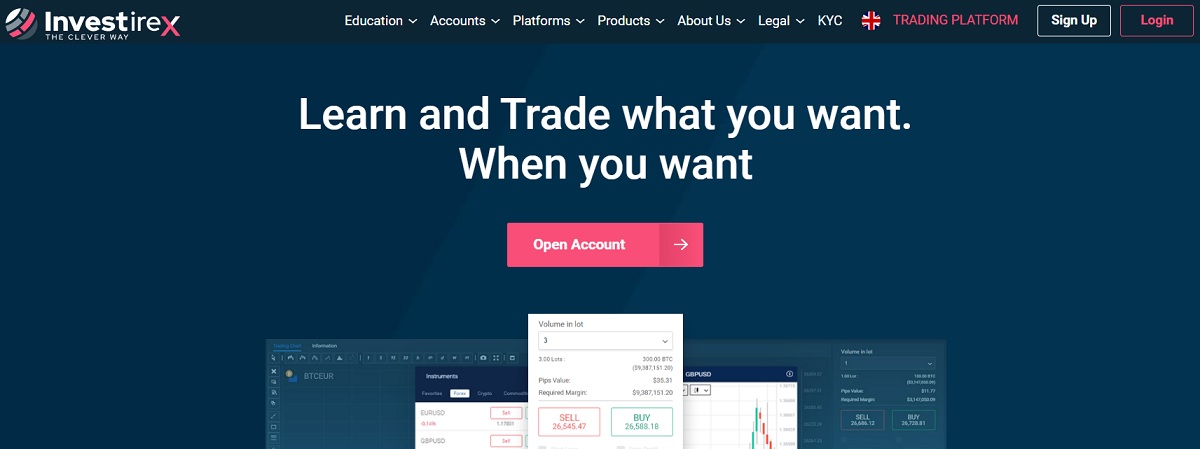 homepage-16 - Tokenhell Investirex homepage
