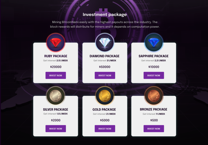 BitcoinNami