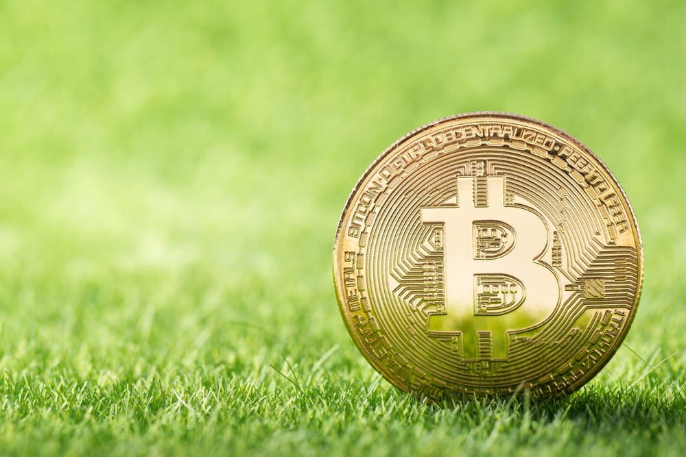 photo5773957800437856960 - Tokenhell