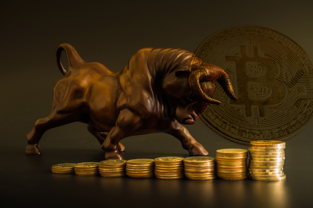 Bull,Market,In,Crypto,Currency.,It,'s,Alternate,Investment,For - Tokenhell