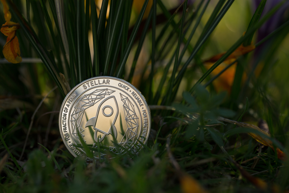 Stellar,Xlm,Cryptocurrency,Physical,Coin,Placed,On,The,Green,Grass. - Tokenhell