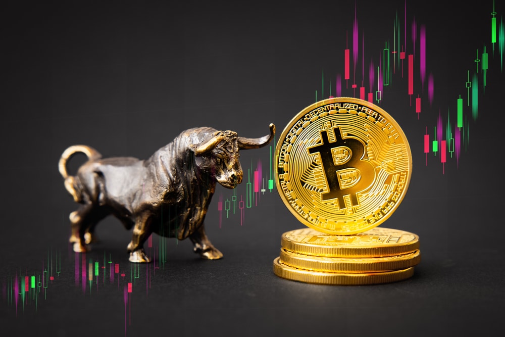 BullStandingNextToStackOfBitcoinsWithPriceChart - Tokenhell 2025 Will be the Best Year Ever for Crypto, Steno Research Analysts Claim