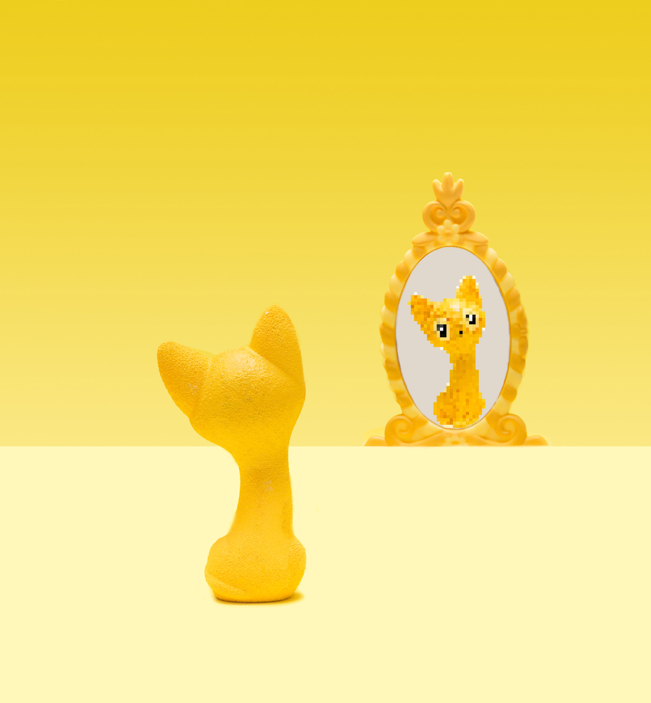 Single,Yellow,Cat,Toy,Seats,On,Pastel,Yellow,Ground,And - Tokenhell