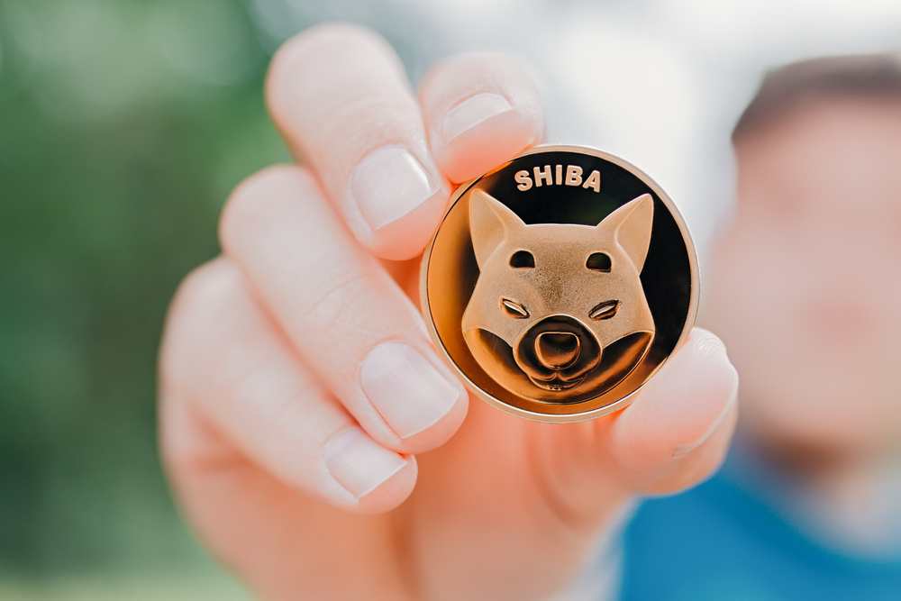 Empuriabrava,,Spain,,June,2021,-,Man,Holding,One,Shiba,Token, - Tokenhell