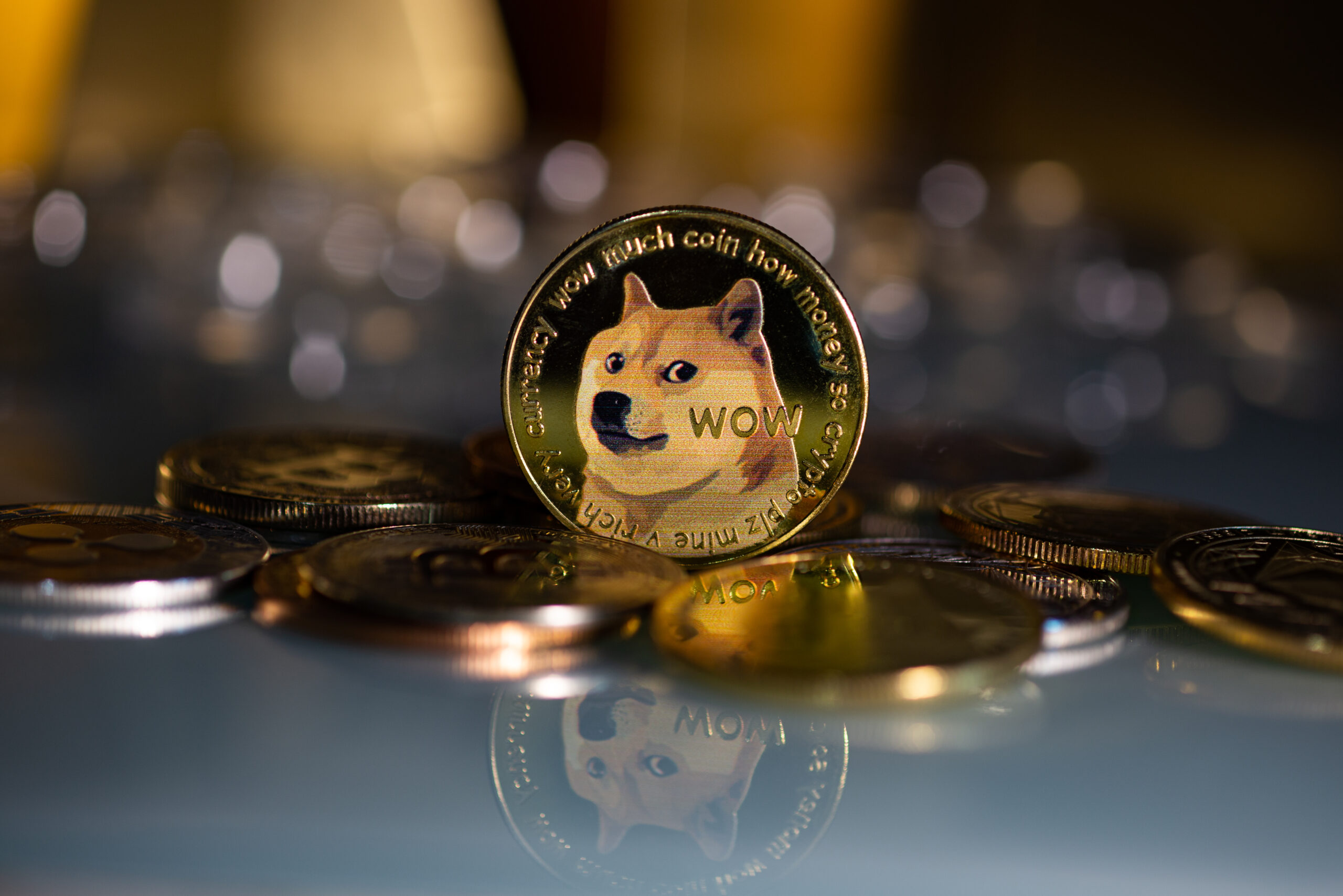 DogecoinDogeCryptocurrencyMeansOfPaymentInTheFinancialSector - Tokenhell Will Dogecoin Hit the $1 Milestone? Analysts Weigh In
