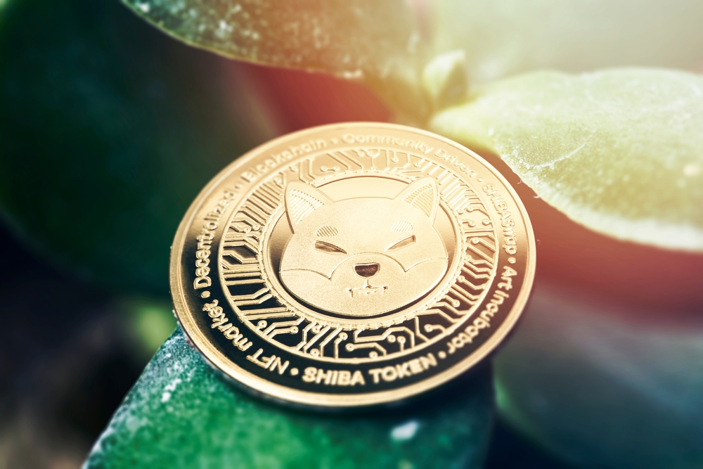 Investing,Money,In,Cryptocurrency.,Green,Homeplant,In,The,Pot,And - Tokenhell
