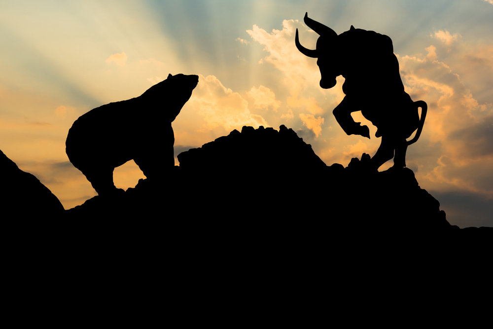 The,Silhouette,Of,A,Bear,And,Bull. - Tokenhell