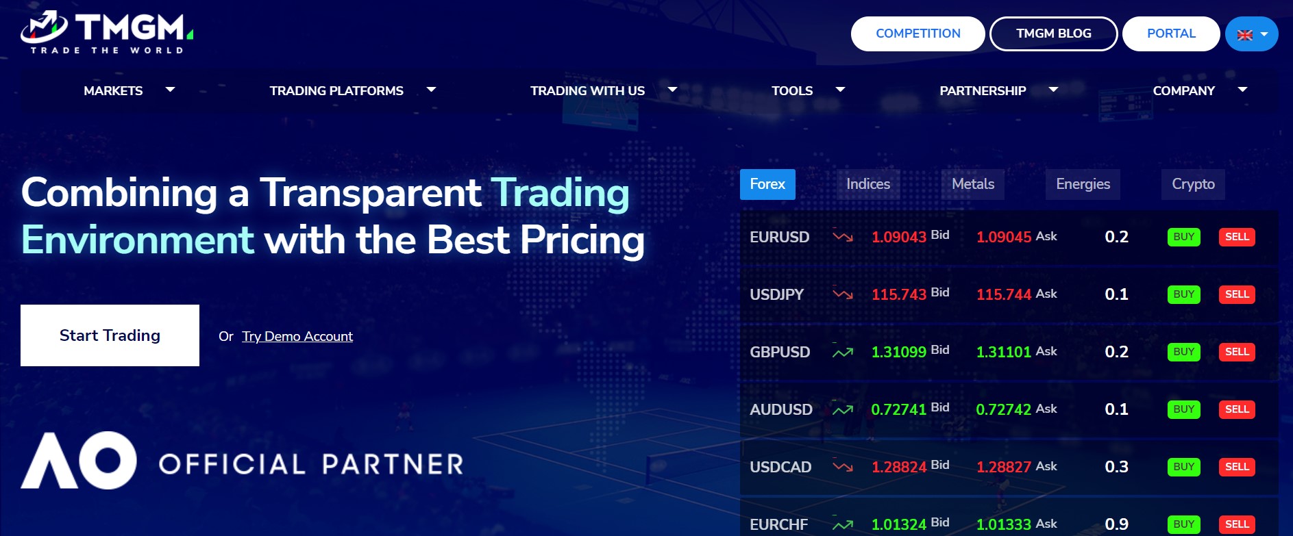 website-205 - Tokenhell TMGM website