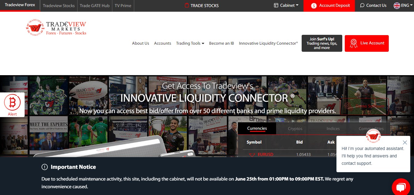 website-251 - Tokenhell Tradeview website