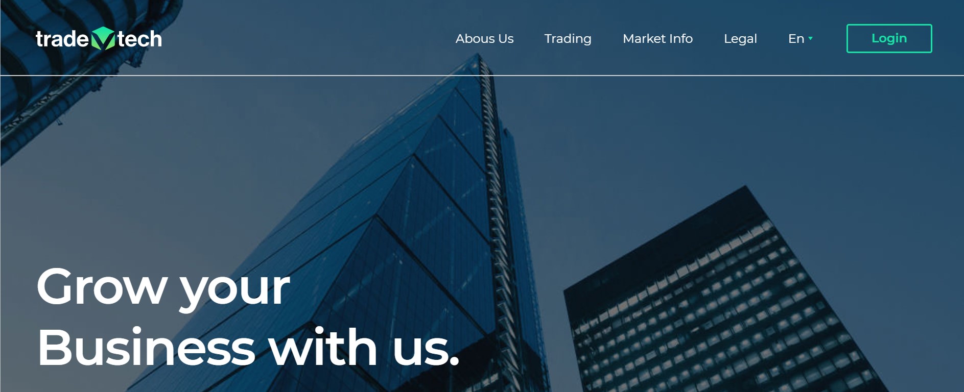 website-9 - Tokenhell TradeVtech website