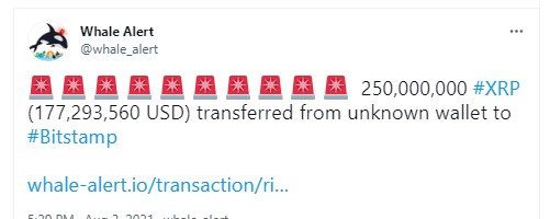 whale-alert-announcement - Tokenhell